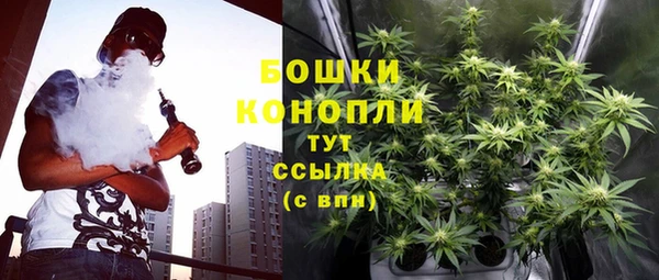 каннабис Белокуриха