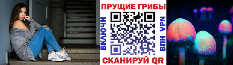 Псилоцибиновые грибы GOLDEN TEACHER Ворсма